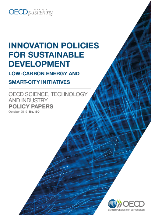 지속 가능한 발전을 위한 혁신 정책 : 저탄소 에너지 및 스마트 도시 계획 (Innovation policies for sustainable development: Low-carbon energy and smart-city initiatives)(2019)
