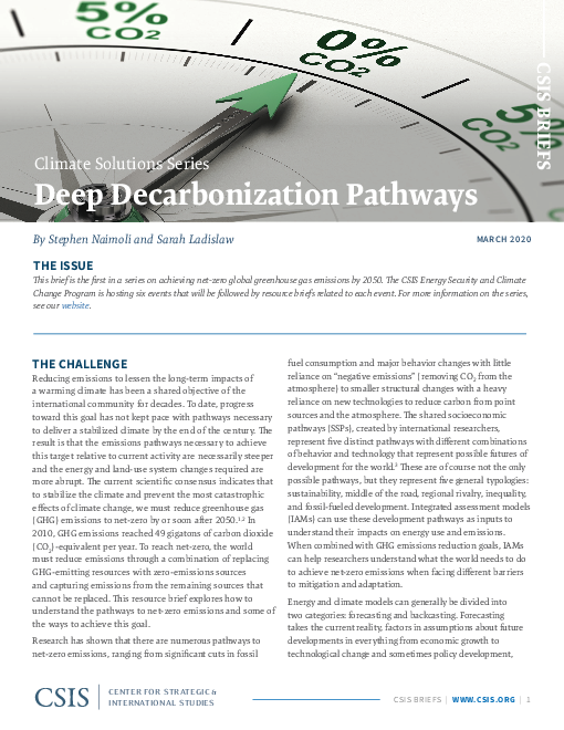 탈탄소화 경로 : 기후 해결책 총서 (Deep Decarbonization Pathways: Climate Solutions Series)(2020)