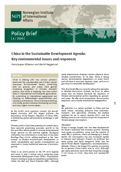지속가능발전 의제에서 중국의 역할 : 핵심적인 환경 문제와 대응 (China in the Sustainable Development Agenda: Key environmental issues and responses)(2020)