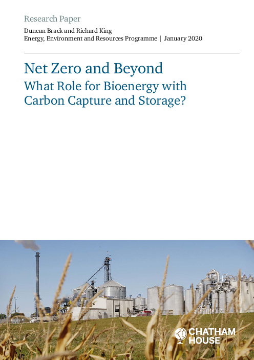 순배출 제로와 그 너머 : 탄소 포집 및 저장을 통한 바이오에너지(BECCS)의 역할 (Net Zero and Beyond: What Role for Bioenergy with Carbon Capture and Storage?)(2020)