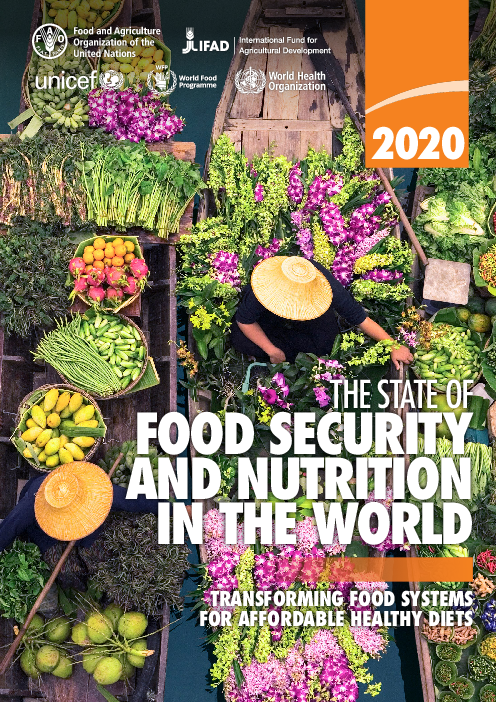 2020년 세계 식량안보 및 영양 현황 보고서 : 합리적인 가격의 건강 식단을 위한 식품 시스템 혁신 (The state of food security and nutrition in the world 2020: Transforming food systems for affordable healthy diets)