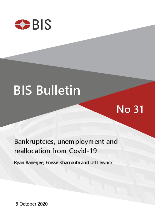 코로나바이러스감염증-19(COVID-19)로 인한 파산, 실업 및 재분배 (Bankruptcies, unemployment and reallocation from Covid-19)