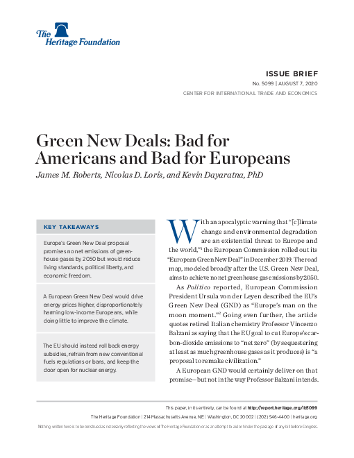 그린 뉴딜 : 미국에 불리한 점과 유럽에 불리한 점 (Green New Deals: Bad for Americans and Bad for Europeans)(2020)