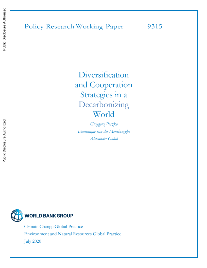 탈탄소화 세계에서 다양화 및 협력 전략 (Diversification and Cooperation Strategies in a Decarbonizing World)(2020)