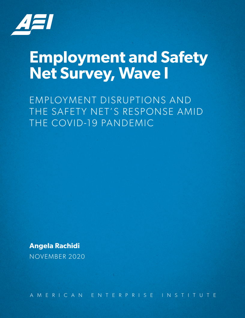 고용 및 안전망 조사 제1장: 코로나 사태 속 고용 붕괴와 안전망의 대응 (Employment and safety net survey, wave I: Employment disruptions and the safety net’s response amid the COVID-19 pandemic)