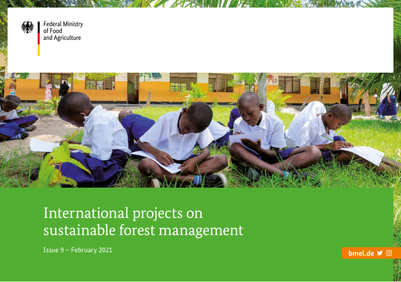 지속 가능한 산림 관리를 위한 국제 프로젝트, 2021년 2월 제9호 (International projects on sustainable forest management. Issue 9 - Febraury 2021)