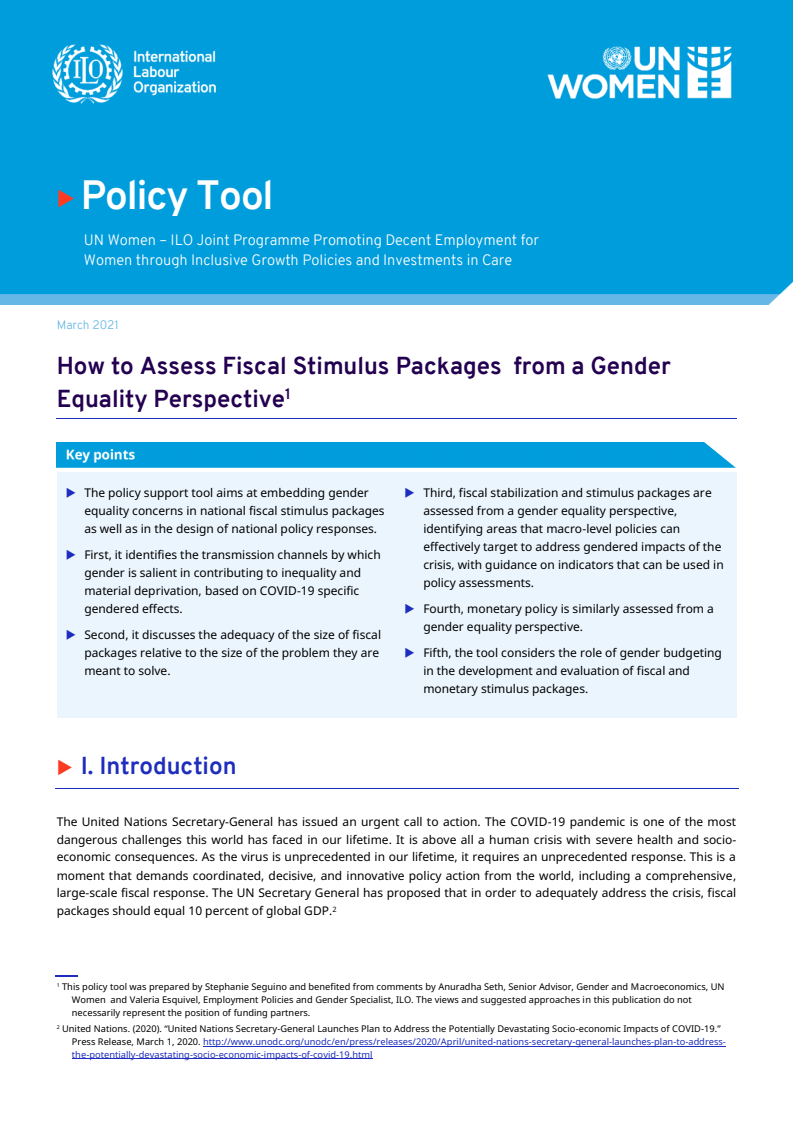 젠더평등 관점의 재정부양책 평가 방법 (How to Assess Fiscal Stimulus Packages from a Gender Equality Perspective)(2021)