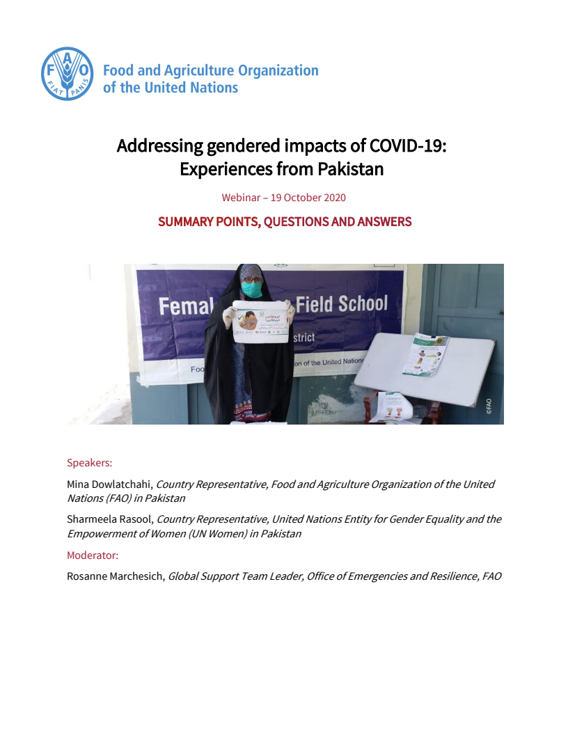 코로나19의 성별 영향 해결 : 파키스탄 (Addressing gendered impacts of COVID-19: Experiences from Pakistan)(2021)