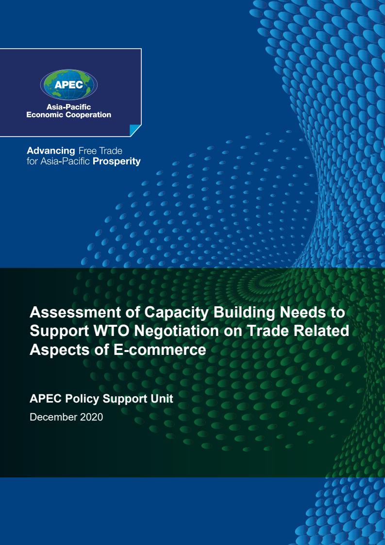 전자상거래 거래관련 세계무역기구(WTO) 협상을 지원하기 위한 역량구축 필요분야 평가  (Assessment of Capacity Building Needs to Support WTO Negotiation on Trade Related Aspects of E-commerce)