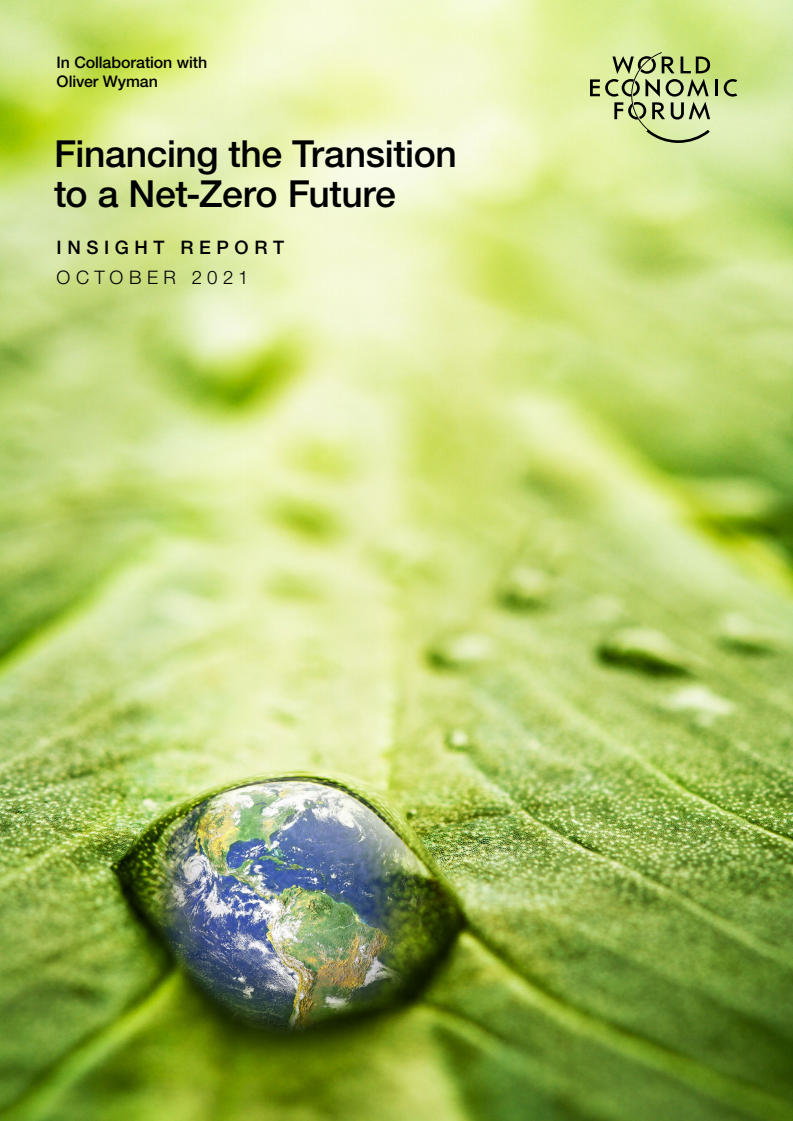 탄소 중립의 미래로의 전환 자금 조달 (Financing the Transition to a Net-Zero Future)(2021)