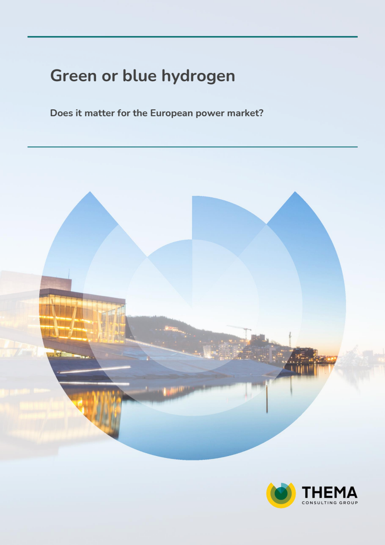 그린 또는 블루 수소 : 유럽 전력 시장에서의 중요성 (Green or blue hydrogen- Does it matter for the European power market?)(2022)