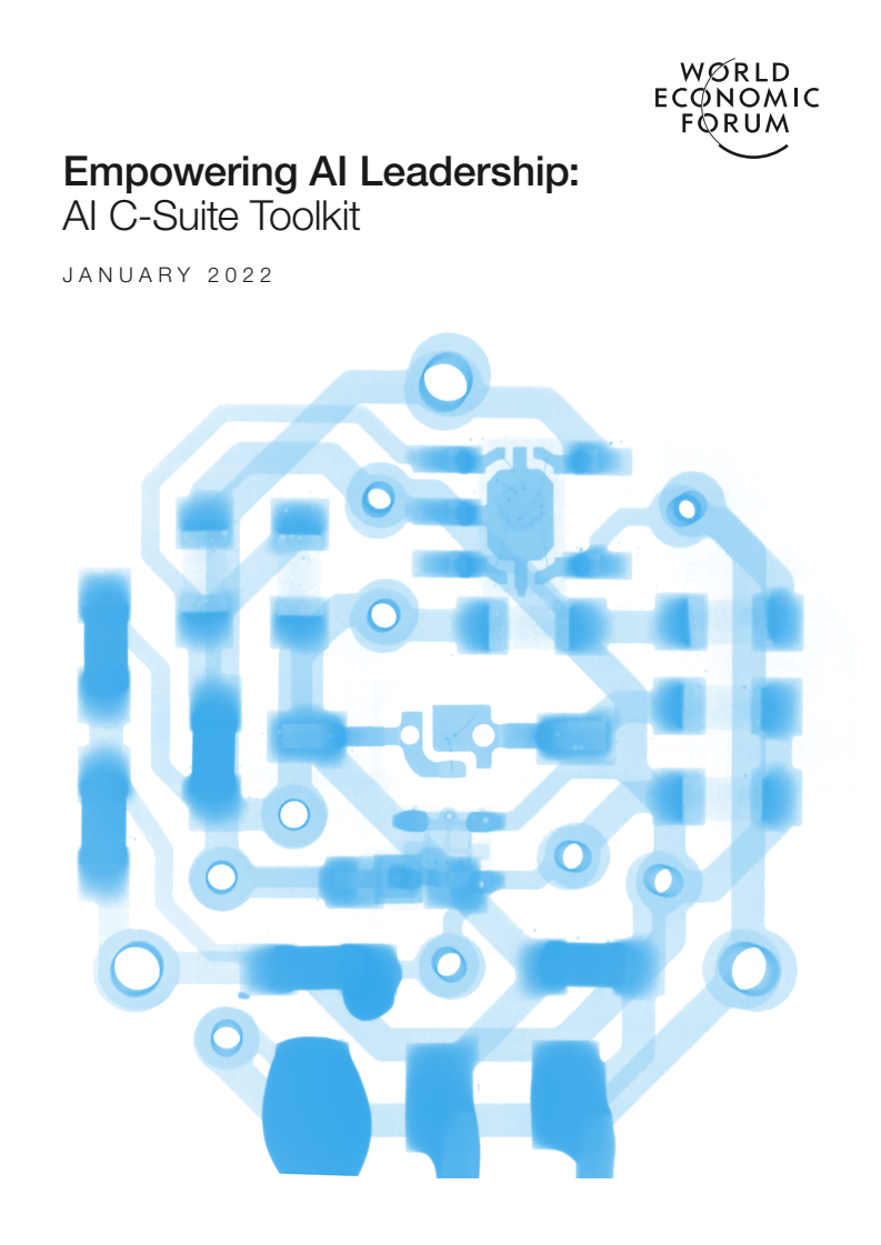 인공지능(AI) 리더십 강화 : AI 기업 경영진 지침서(C-suite Toolkit) (Empowering AI Leadership: AI C-Suite Toolkit)(2022)