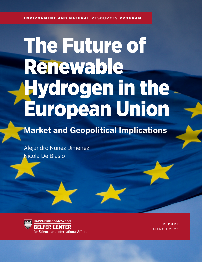 유럽연합에서 재생 가능한 수소의 미래 : 시장과 지정학적 영향 (The Future of Renewable Hydrogen in the European Union: Market and Geopolitical Implications)