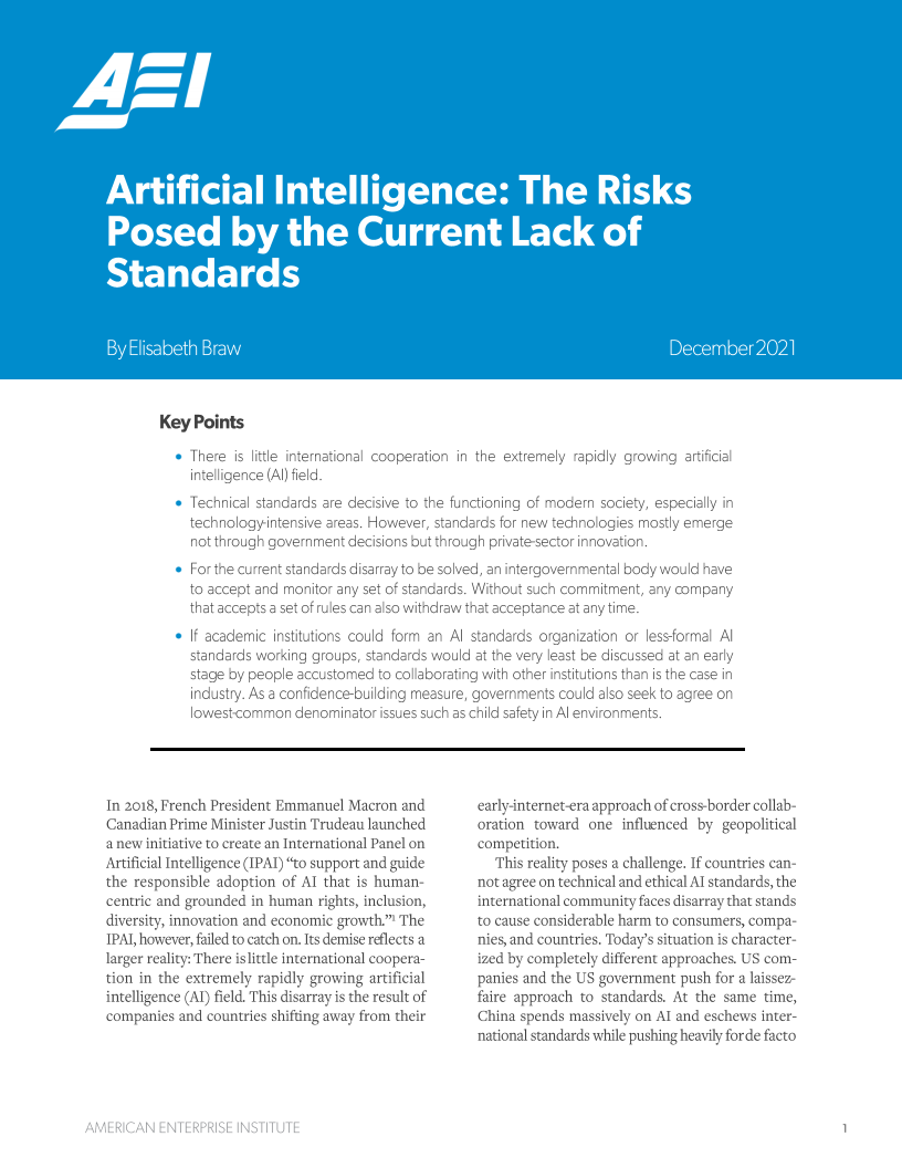 인공지능 : 현재의 표준 부족으로 인한 위험 (Artificial Intelligence: The Risks Posed by the Current Lack of Standards)(2021)